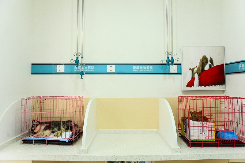 无机涂料,无机涂料厂家,无机涂料招商加盟